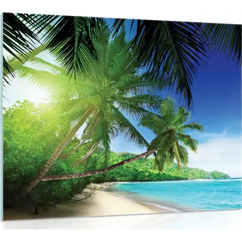 Obraz Skleněný obraz na skle PLÁŽ MOŘE PALMY 3D 80x60