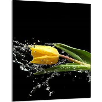 Kuchyňské prkénko Krájecí deska TMK ArtDeko sklo 1 ks