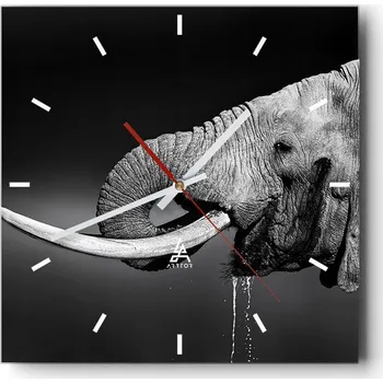 Hodiny Velké nástěnné hodiny 40x40 cm Zvířata Skleněné tiché hodiny