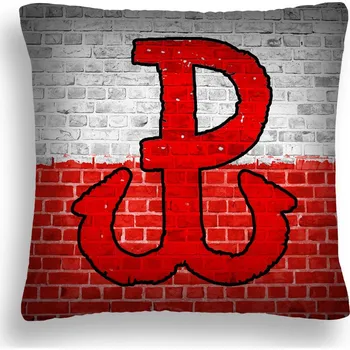 Polštář POLŠTÁŘ VELKÝ 50*50 MX 04 POLSKO BOJUJÍCÍ KOTVA