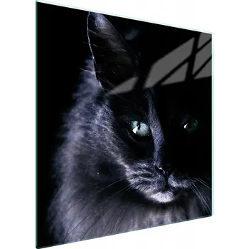 Kuchyňské prkénko Krájecí deska TMK ArtDeko sklo 1 ks