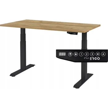 Psací stůl Obdélníkový psací stůl ProErgo 120 x 80 x 126 cm černý