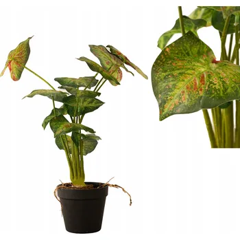 umělá květina UMĚLÝ KVĚT rostlina v květináči Alokázie jako živá dekorace do obýváku