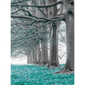 Obraz Plakát Stromy v řadě - tyrkysové listy bez rámu 30 x 40 cm