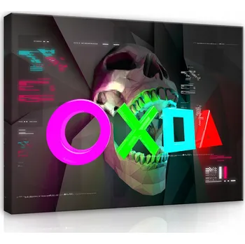 Obraz Obraz PRO HRÁČE Lebka Do Pokoje pro Mladé 100x70