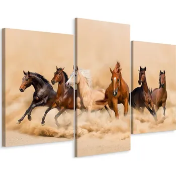 Obraz Obraz Triptych cválající koně Poušť 3D 60x40