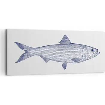 Obraz Obraz na plátně do obýváku ložnice 120x50 ryba foto obrazy na zeď velký
