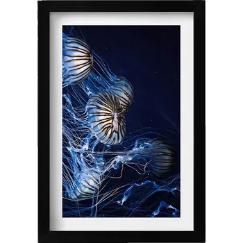 Obraz Ozdobný nástěnný obraz v rámu s grafikou Modré medúzy ve vodě 20x30 cm