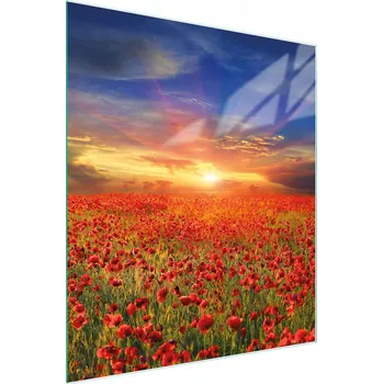 Kuchyňské prkénko Krájecí deska TMK ArtDeko sklo 1 ks