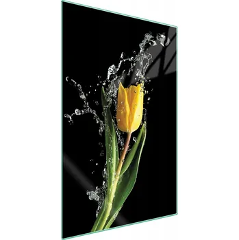 Obraz Krájecí deska TMK ArtDeko sklo 1 ks