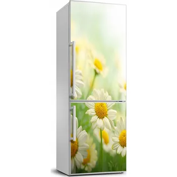 Fototapeta Samolepka fototapeta nálepka Sedmikrásky 70x190 cm