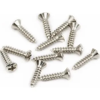 Příslušenství pro strunný nástroj Fender Pickguard/Vintage Bridge Cover Screws + prodloužená záruka 3 roky
