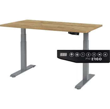 Psací stůl Obdélníkový psací stůl ProErgo 138 x 80 x 126 cm, odstíny šedé