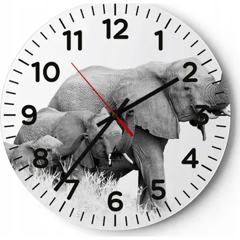 Hodiny Kuchyňské nástěnné hodiny 30x30 Zvířata Moderní skleněné hodiny Obývací pokoj Tiché