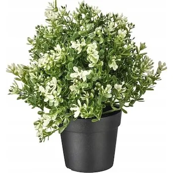 umělá květina IKEA UMĚLÁ ROSTLINA V KVĚTINÁČI TYMINAKE BYLINKY