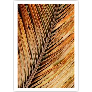 Obraz Plakát na zeď bez rámu 70x100 botanika obraz plakáty do obývacího pokoje ložnice