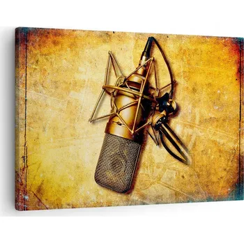 Obraz Obraz na plátně do obývacího pokoje ložnice 70x50 mikrofon foto obrazy na zeď