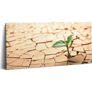 Obraz Obraz na plátně Canvas Stylový Dárek do kuchyně Rostlina v suché zemi