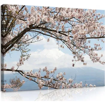 Obraz OBRAZ NA PLÁTNĚ CANVAS 80x60 HORA FUDŽI VIŠEŇ