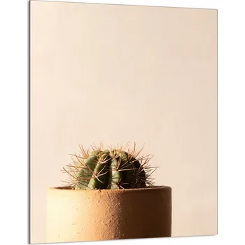 Kuchyňské prkénko Krájecí deska TMK ArtDeko sklo 1 ks