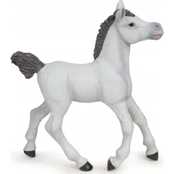 HŘÍBĚ ARABSKÉ BÍLÉ