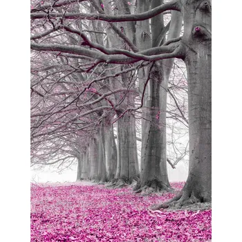 Obraz Plakát Stromy v řadě - růžové listy bez rámu 60 x 80 cm