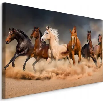 Obraz Obraz Běžící Koně v Poušti 3D Efekt 40x30 cm