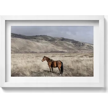 Obraz Ozdobný nástěnný obraz v rámu s grafikou loft Kůň hřebec v trávě 30x20 cm