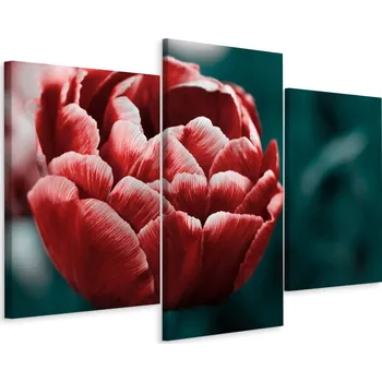 Obraz Obraz Tryptych Kvetoucí TULIPÁN Příroda 3D 90x60