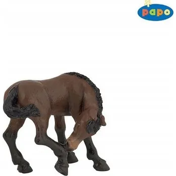 HŘÍBĚ LUŽITÁNSKÝ Papo