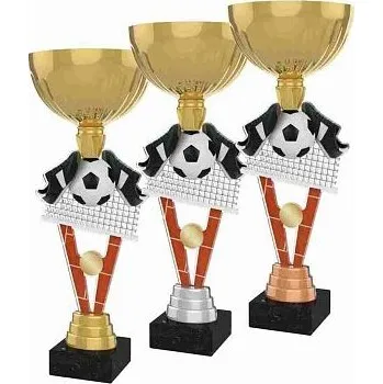 Nohejbalová trofej s kalichem - Výška: 32cm Text: Stříbrný kovový štítek