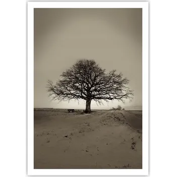 Obraz Plakát na zeď bez rámu 70x100 krajina obraz plakáty do obývacího pokoje ložnice