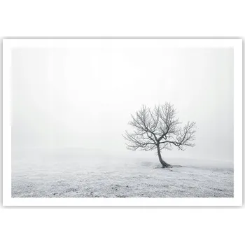 Obraz Plakát na zeď bez rámu 100x70 krajina obraz plakáty do obývacího pokoje ložnice