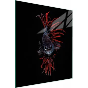 Kuchyňské prkénko Krájecí deska TMK ArtDeko sklo 1 ks