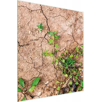 Kuchyňské prkénko Krájecí deska TMK ArtDeko sklo 1 ks