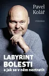 Labyrint bolesti - Pavel Kolář (2025,…