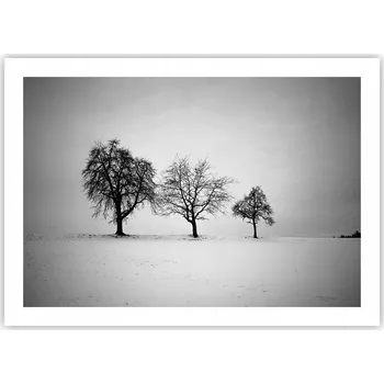 Obraz Plakát bez rámu do obýváku ložnice 70x50 krajina moderní módní obraz