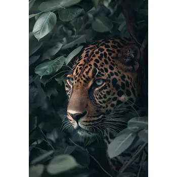 Plakát Plakát Skrytý ve stínu, bez rámu, 61 x 90,5 cm