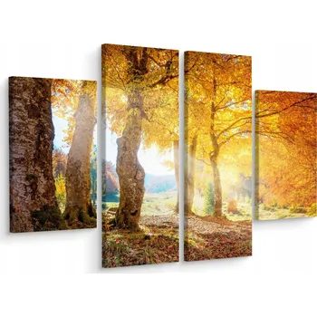 Obraz Obraz Podzimní KRAJINA Les 3D 4 Díly 200x150