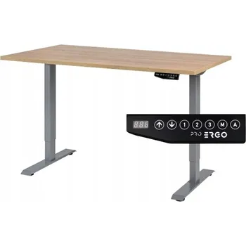 Psací stůl Obdélníkový psací stůl Pro Ergo 160 x 80 x 119 cm grafit