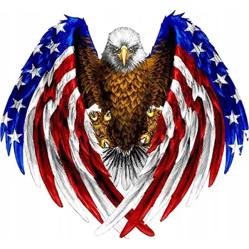 Samolepicí dekorace na vozidlo SAMOLEPKA na auto ORLICE Orel Pták Vlajka AMERIKY AMERICKÁ 13x12 TISK