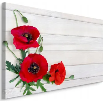 Obraz Obraz KVĚTINY Divoké máky Dřevo Dekor 3D 30x20