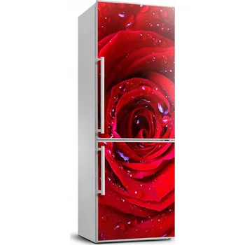 Fototapeta Samolepicí samolepící na ledničku Červená růže