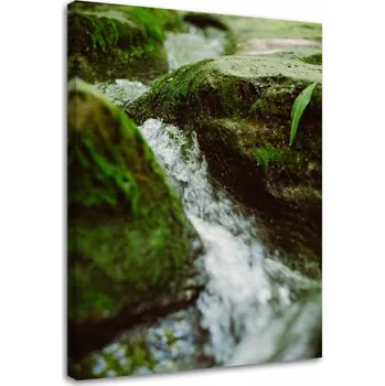 Obraz OBRAZ NA PLÁTNĚ Řeka Kamienie Příroda 40x60