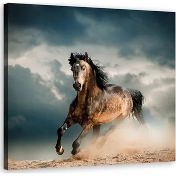 Obraz OBRAZ NA PLÁTNĚ Cválající kůň 30x30