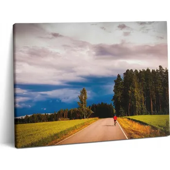Obraz Foto Obraz Canvas Inspirativní Do Obýváku Krajinná Cyklostezka 80x60