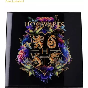 Obraz Obraz Harry Potter - Hogwarts Fine Oddities Crystal Clear Art Pictures (Nemesis Now)