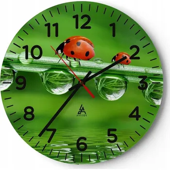 Hodiny Kuchyňské nástěnné hodiny 30x30 Beruška Moderní skleněné hodiny do obýváku Tiché