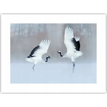 Obraz Obraz plakát do obýváku ložnice 40x30 zima foto plakáty na zeď bez rámu