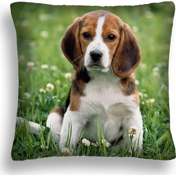 Polštář POLŠTÁŘ POLŠTÁŘ 14 BÍGLŮ ŠTĚNĚ MEADOW FLOWERS PL